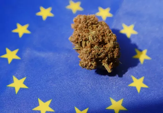 Legalizacja marihuany w krajach europejskich