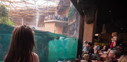 Orientarium Zoo Łódź i jego mieszkańcy