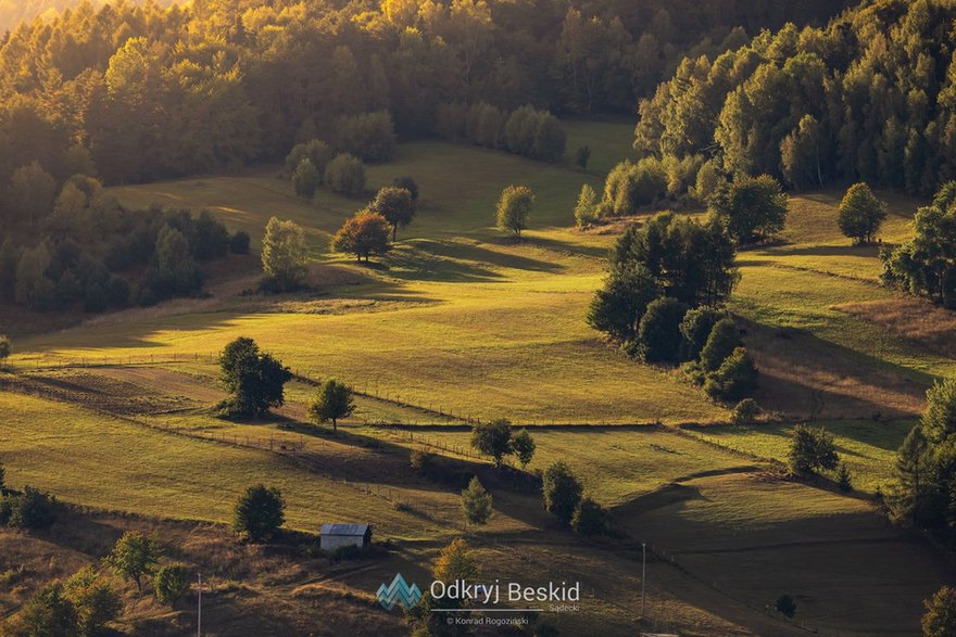 Wzgórza w Złockiem nad cerkwią © Konrad Rogoziński