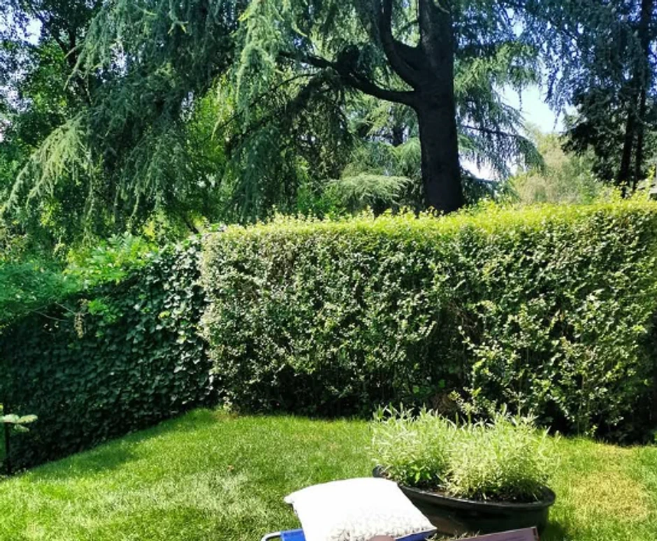 Jelena Tomašević dom