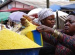 Garri prices drop in Enugu markets amid ongoing cassava harvest