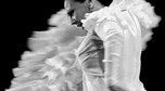 ARGENTINA FLAMENCO BW