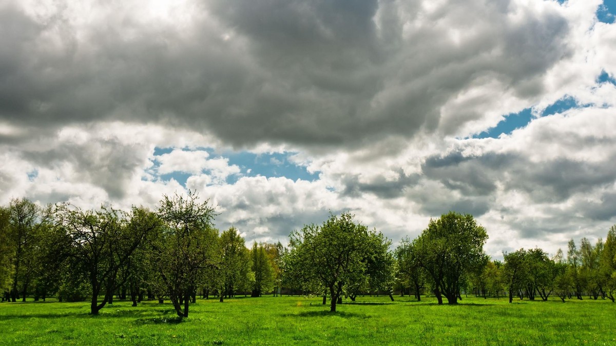 Koniec tygodnia za zmienną pogodą. Będzie cieplej, ale z opadami, silnym wiatrem i przymrozkami