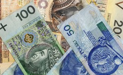 Kotecki z RPP: Wyłączenie funduszy celowych z reguły wydatkowej niekorzystne dla złotego