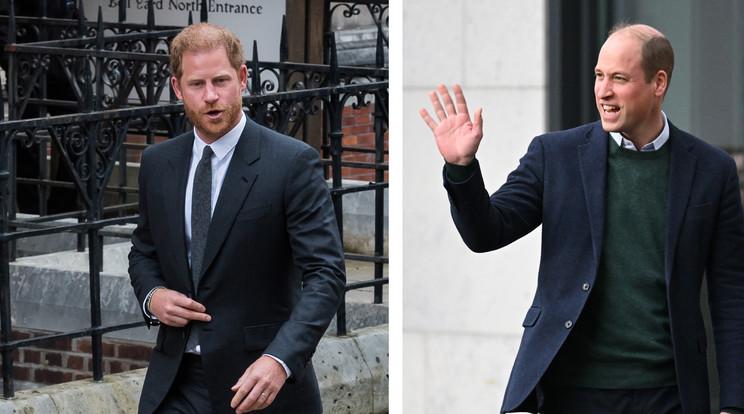 Harry herceg és Vilmos herceg nagyon eltávolodtak egymástól /Fotó: Getty Images