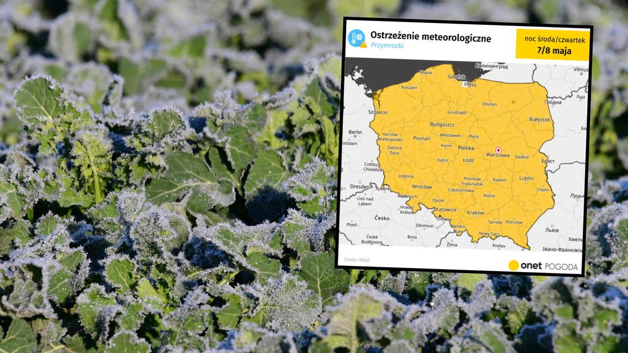IMGW wydaje żółty alert. Ostrzeżenia objęły wszystkie województwa [MAPA]