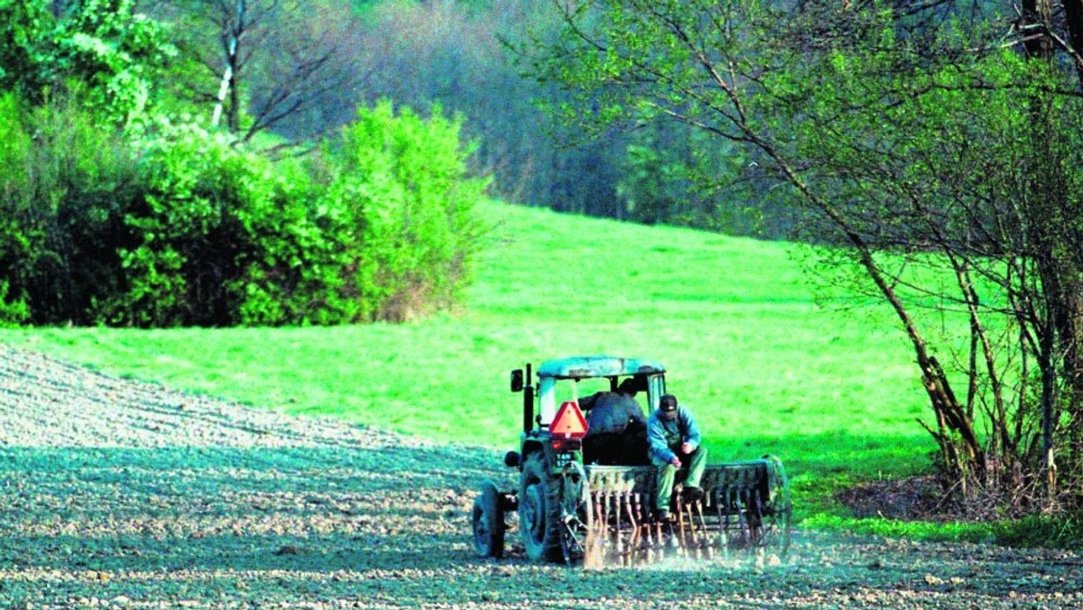 "Polska Dziennik Bałtycki": Po głośnych przypadkach zarażenia wirusem E.coli w Niemczech pomorscy rolnicy znaleźli się pod obstrzałem. Na jaw wychodzi to, o czym na wsi wszyscy wiedzą od dawna i tak naprawdę nikt się tym zbytnio nie przejmował. Niektórzy rolnicy "użyźniają" glebę, jednocześnie ją zanieczyszczając, bo wylewają na pola zawartość szamb.