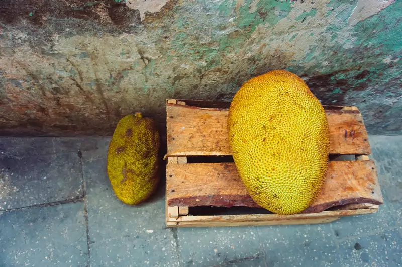 Jackfruit jest popularny w daniach street foodowych