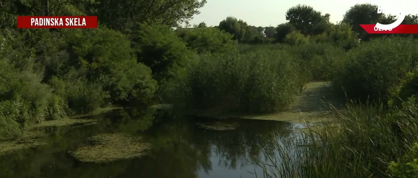 Kanal u kome je pronađeno telo Ruskinje Ljudmile
