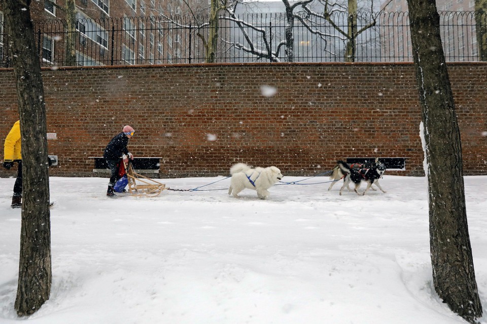 epa06417209 - USA NEW YORK SNOW STORM (Winter Snow Storm New York)