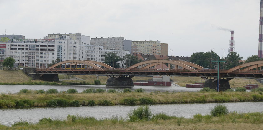 Spacerowicze we Wrocławiu zamarli. W wodzie pływał prawdziwy aligator! To nie żart, są zdjęcia!