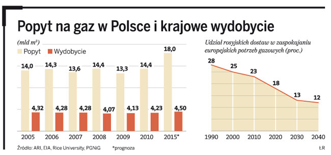 Popyt na gaz w Polsce i krajowe wydobycie