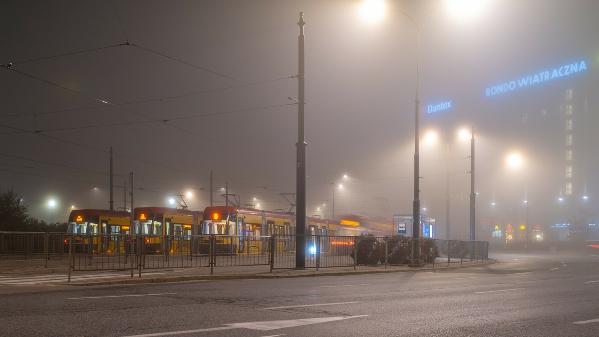 Tragiczne odkrycie w Warszawie - na rondzie Wiatraczna zależała postrzelona głowa dzika [Źródło: Onet]