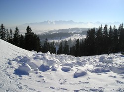 Szusowanie u podnóża Tatr