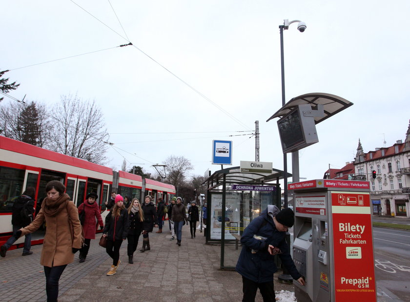 Na otwarcie lwiarni można będzie dojechać autobusami