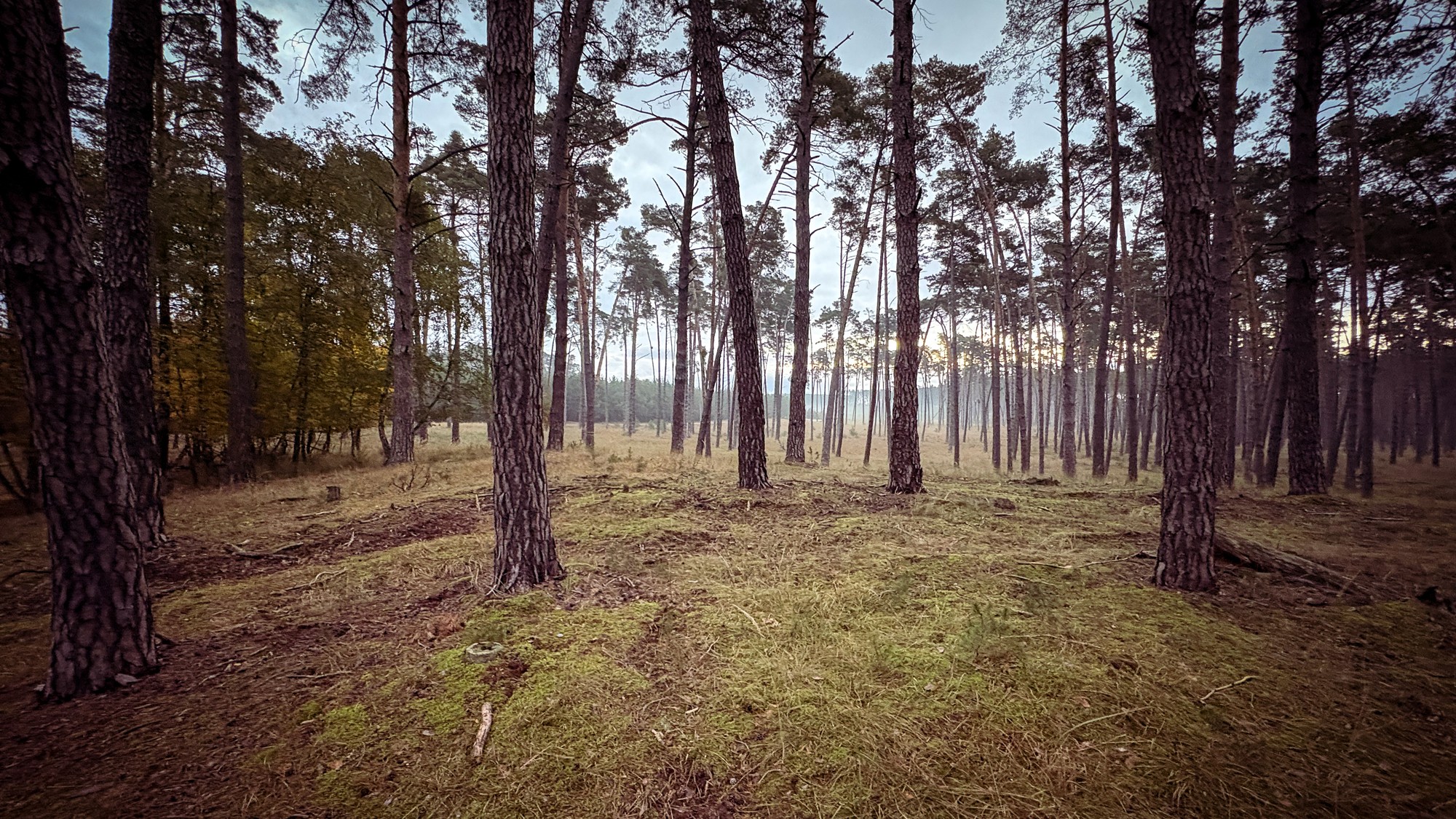 Ilustračná snímka