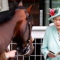 Król Karol III sprzedaje najcenniejsze konie swojej matki. Tak szuka oszczędności 