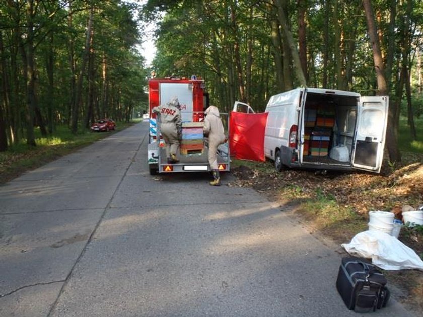 Tragiczny wypadek. Bus z pszczołami rozbił się o drzewo