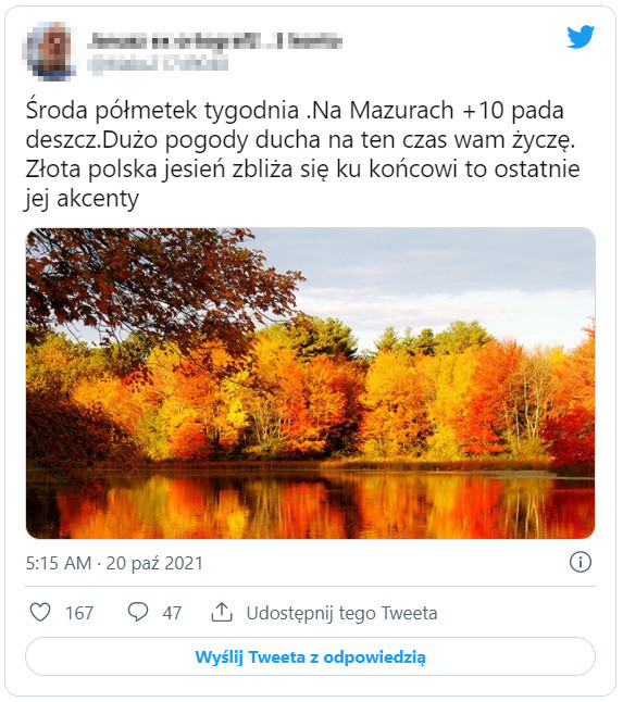 Złota polska jesień