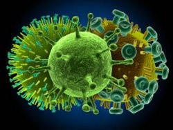 kanyaro-virus-d00000269bfdb895601c6