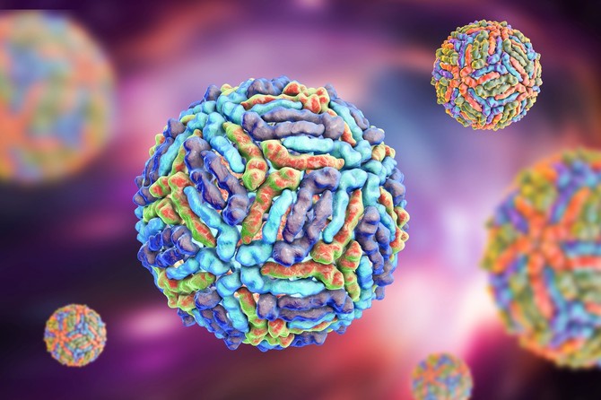 Virus Zapadnog Nila