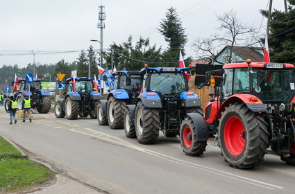 Polacy ocenili swoje miejsca pracy. Jedna grupa się wyróżnia