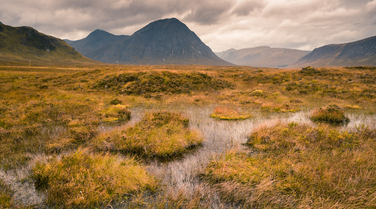 Buachaille Etive Mor hegy és mocsár a skóciai Glencoe-ban / Fotó: Getty Images