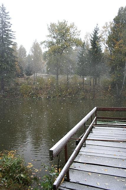Śnieg w Bieszczadach