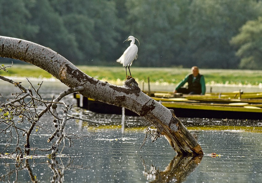 U ovaj čudesan svet prirode najbolje je zaviriti vožnjom kajaka