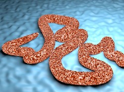 Kongo walczy nie tylko z koronawirusem. Kraj znów nęka ebola