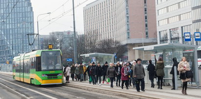 Znów wydadzą krocie na badania