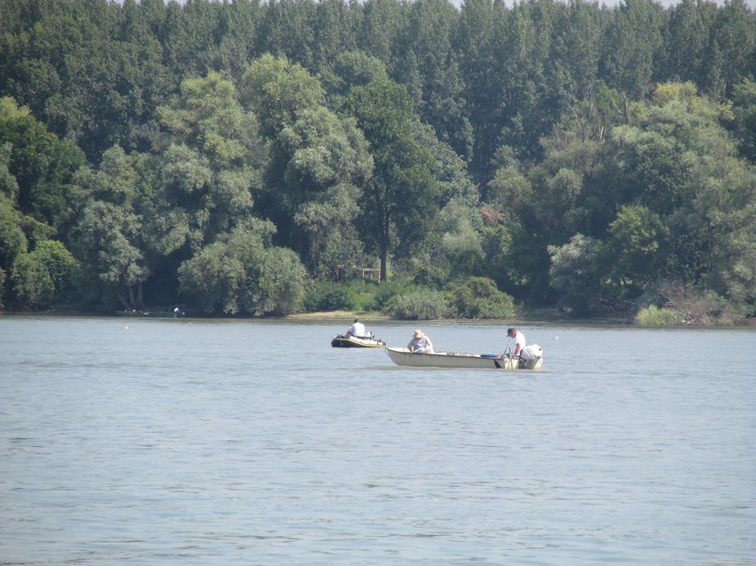 Čamci na vodi u potrazi za somovima