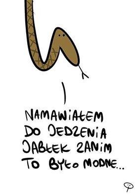 mem / Satyra polityczna