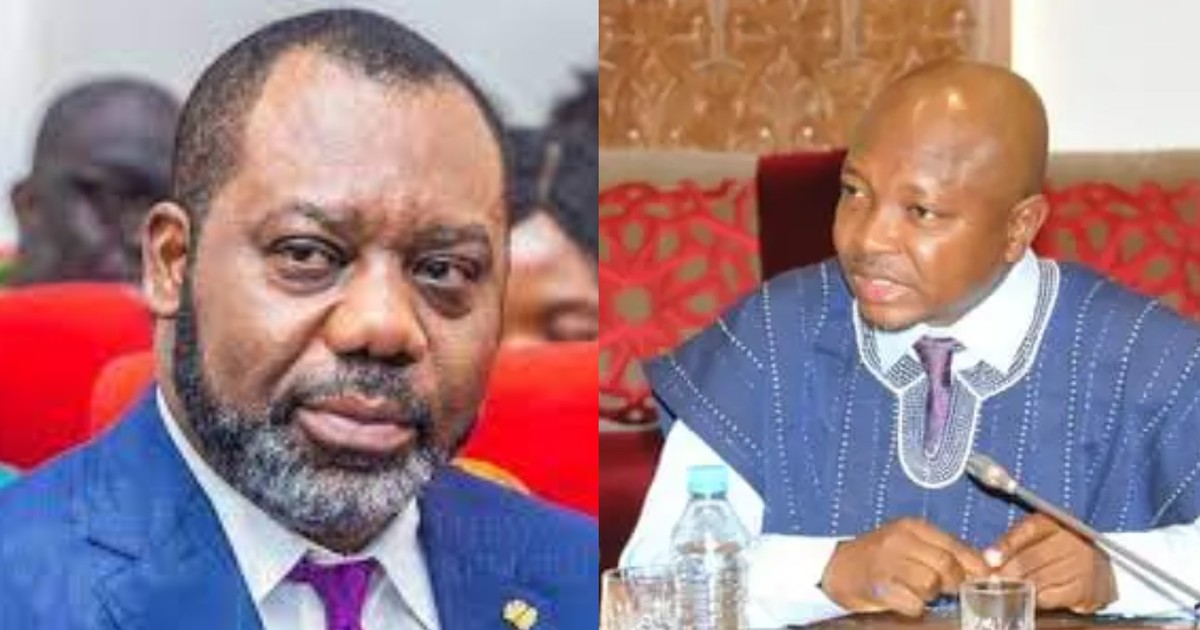 Ras Mubarak releases 'dumsor' timetable for Energy Minister Napo - Vimarsana News