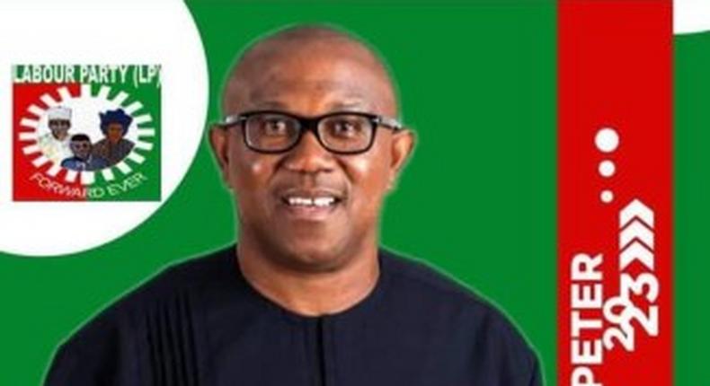 Peter Obi, Presidential candidate of the Labour Party (Leadership)