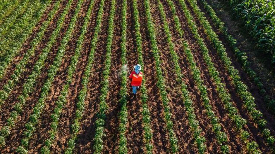 Porast cene veštačkog đubriva će se prenositi dalje kroz lance snabdevanja, kaže Suzana Striter, glavna streteškinja za investicionu konsultantsku firmu Velt klub | Foto: Getty Images