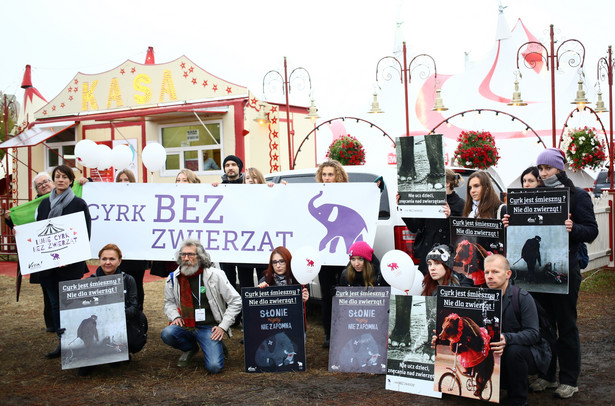 Akcja protestacyjna "Nie chodźcie do cyrków ze zwierzętami”