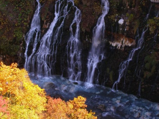 Foto  biel poradnik