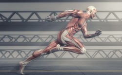 Interstitium – nowy organ w ciele człowieka?