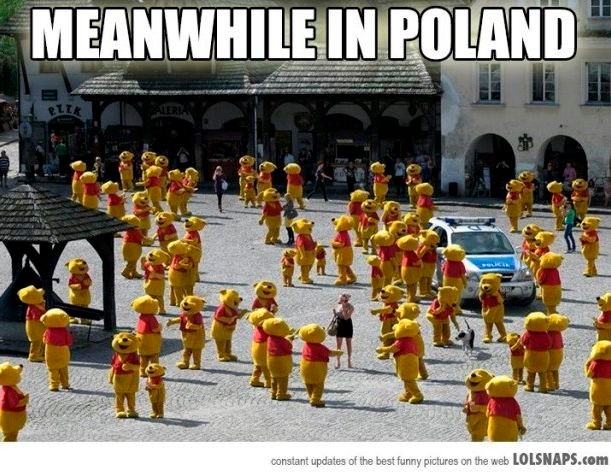 'Meanwhile in Poland'. Internet śmieje się z Polaków