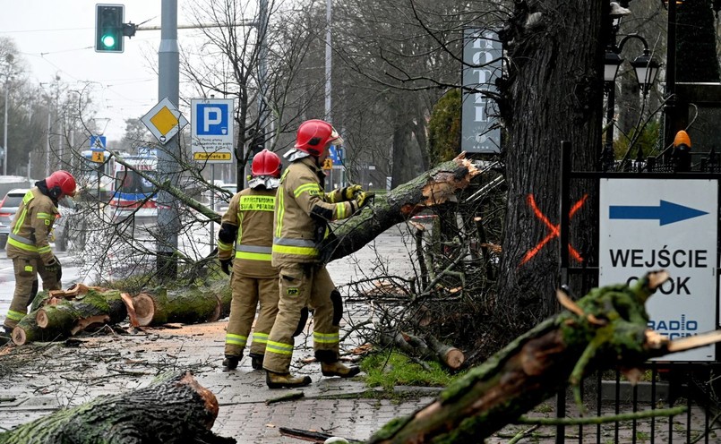 usuwanie skutków wichury