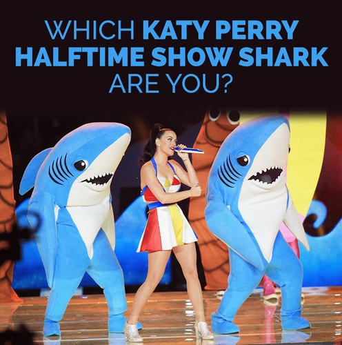 Katy Perry królową memów po Super Bowl 2015