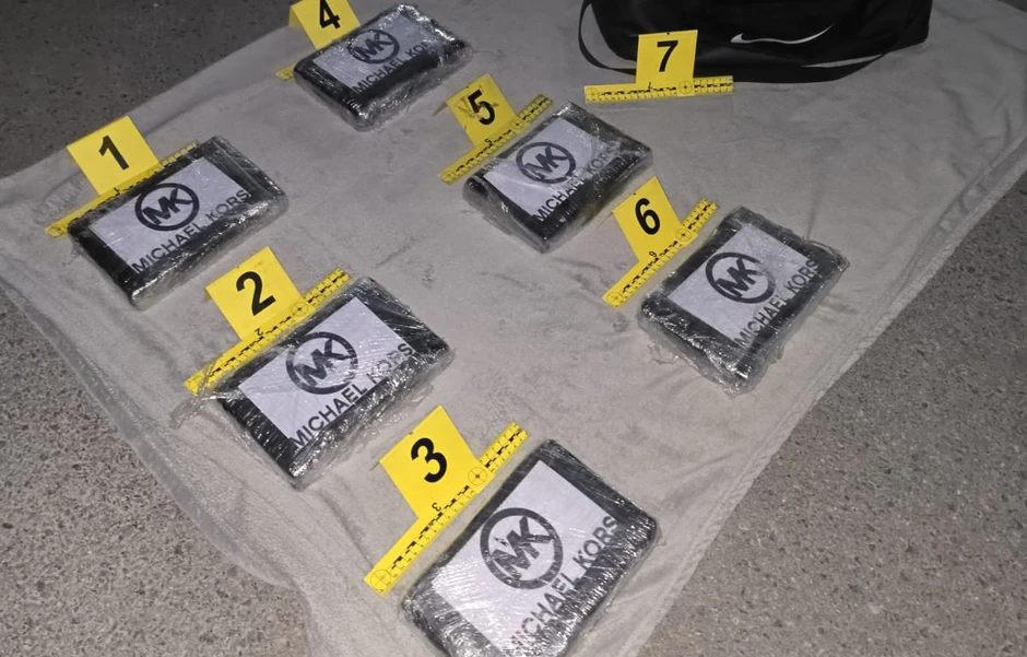 Zaplenjena droga u Novom Sadu 