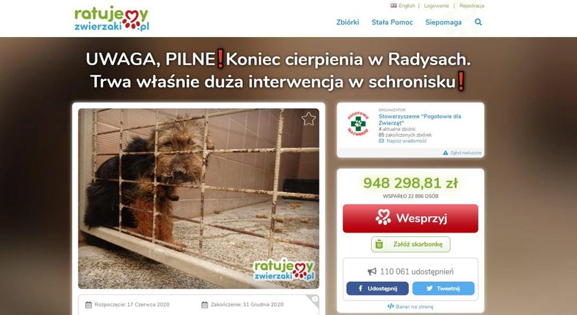 Radysy: koszmar psów w schronisku. Trwa akcja ratunkowa