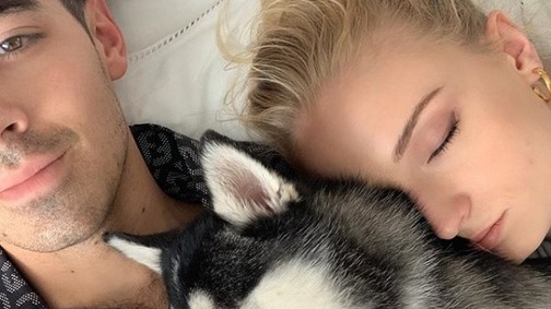 Sophie Turner és Joe Jonas kutyája volt a legjobban öltözött az esküvőjükön