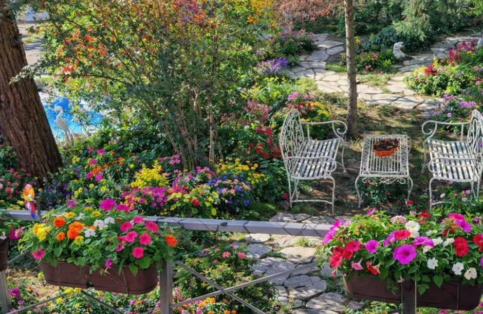 Oglas je izazvao poprilično interesovanje jer se pojavio i u grupi "hitne prodaje