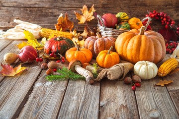 dísztök, halloween, mérgezés