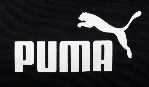 Puma shuts down stores in Russia following Ukraine invasion | Pulse Nigeria