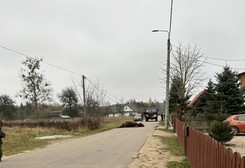 Wojskowa ciężarówka zabiła żubra w Puszczy Białowieskiej. Po sieci krążą sprzeczne informacje