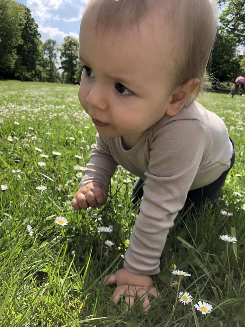 Potrebni smo Lavu da pobedi SMA 2!